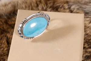 Sleeping Beauty Turquoise Scarf Slide