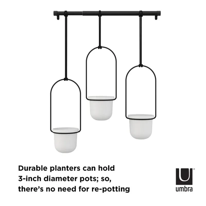 Triflora 3-Piece Hanging Planter