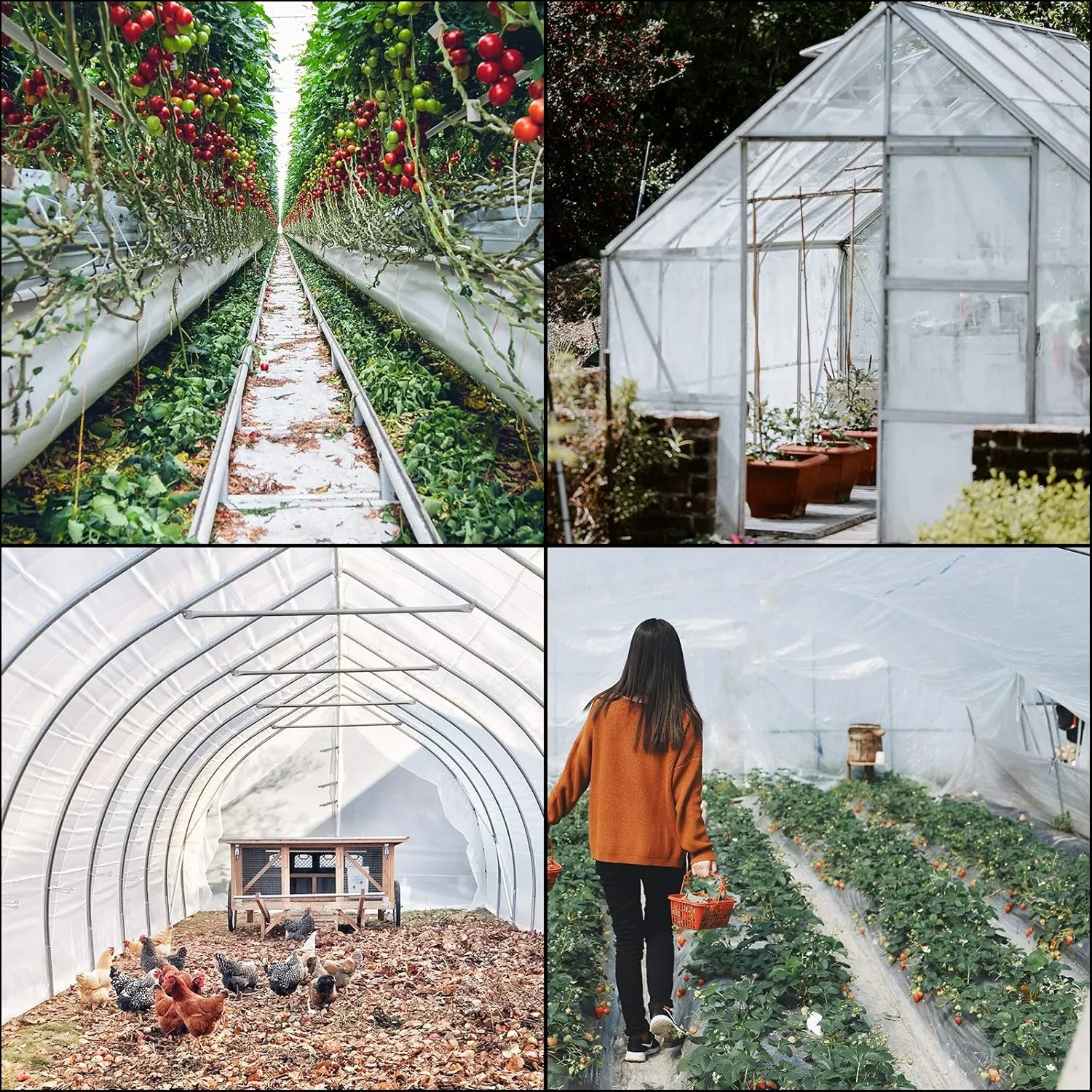 VEVOR Greenhouse Plastic Sheeting 32 x 25 ft, 6 Mil Thickness UV Resistant Clear Polyethylene Film, Hoop Green House Cover for Farms, Agriculture, Garden